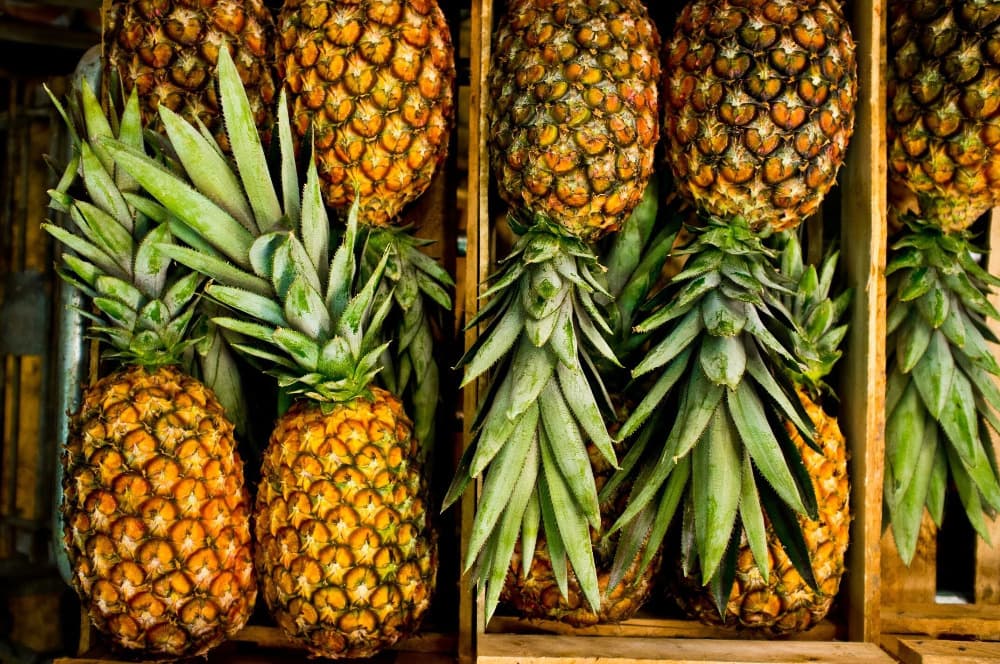 Quality Fresh Pineapple available